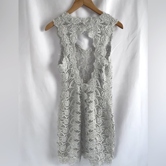 M & Guia Brazil Silver Gray Metallic Embroidered Lace with Cutout Back Dress - Picture 6 of 12